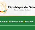 Attaque aux produits toxiques contre 500 pêcheurs et militaires en Guinée : La Défense Française et le Pentagone américain à la rescousse de Conakry